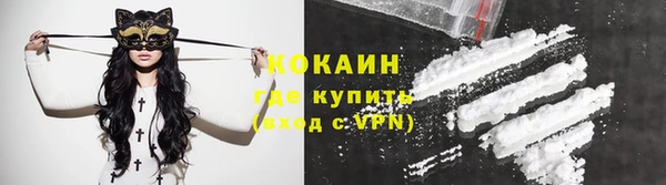 прущие грибы Белоозёрский