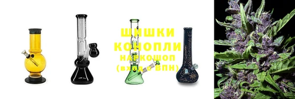 прущие грибы Белоозёрский