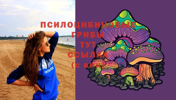 марки nbome Белокуриха