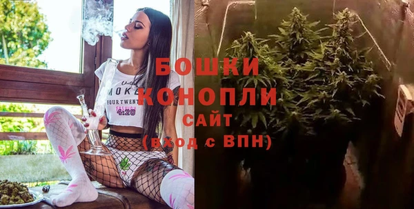 прущие грибы Белоозёрский