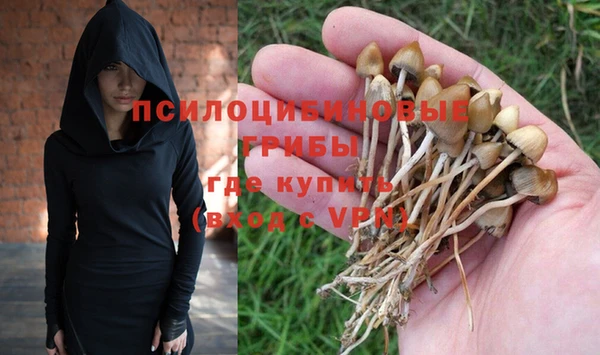 прущие грибы Белоозёрский
