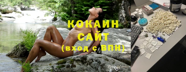 прущие грибы Белоозёрский