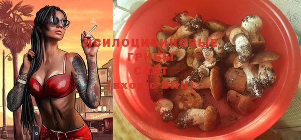 прущие грибы Белоозёрский