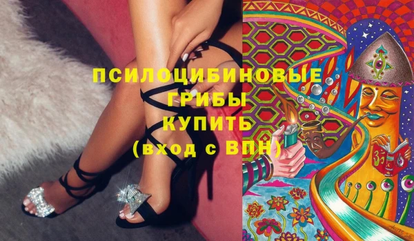 прущие грибы Белоозёрский