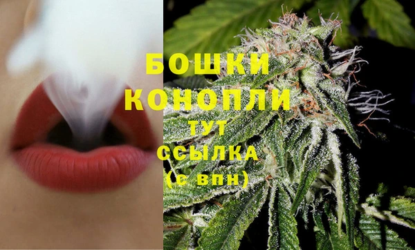 прущие грибы Белоозёрский